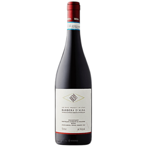 Bera Barbera D'Alba